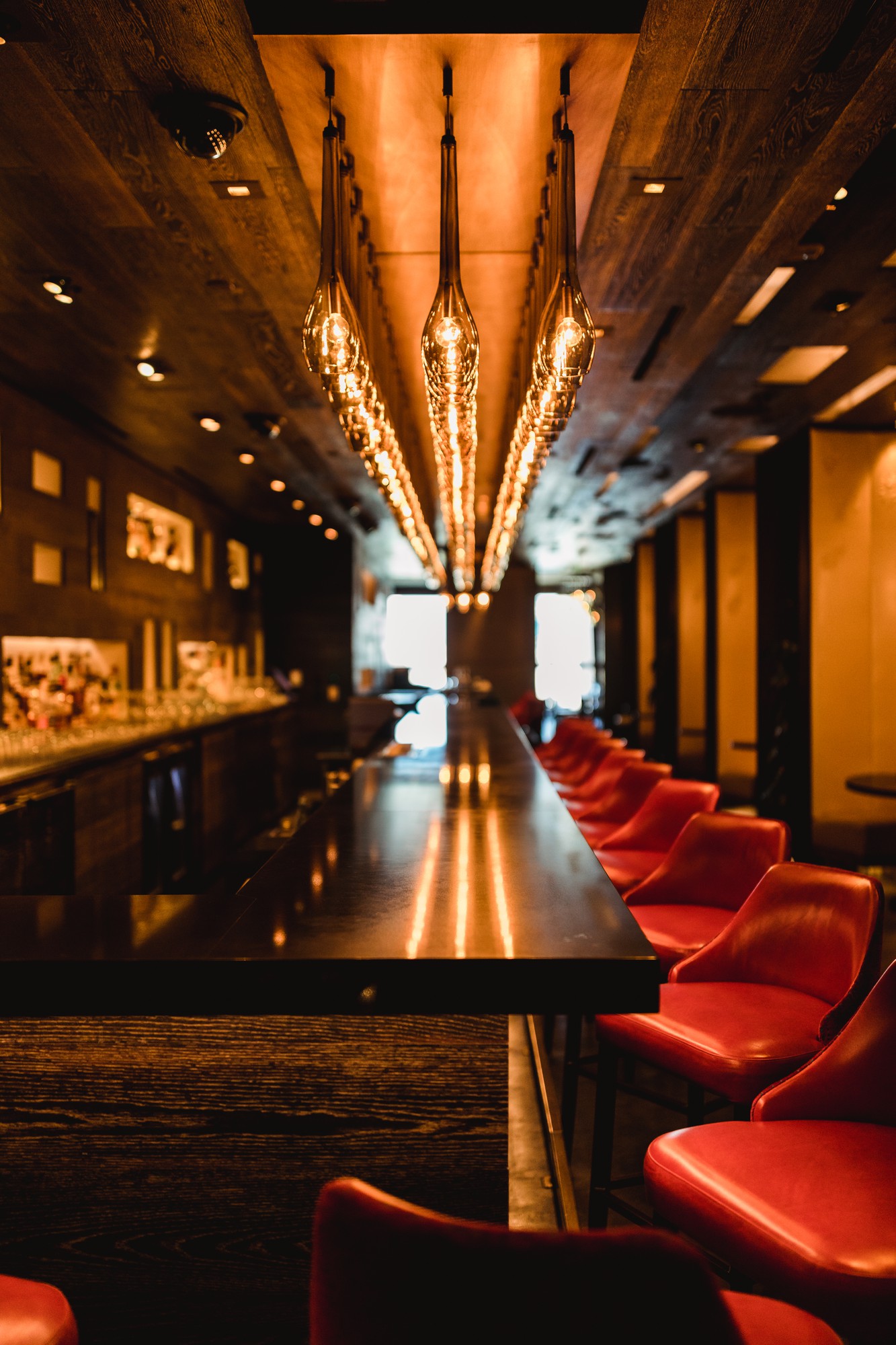 Premium Membership Plan